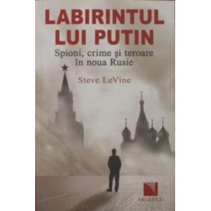 Labirintul lui Putin - Steve Levine