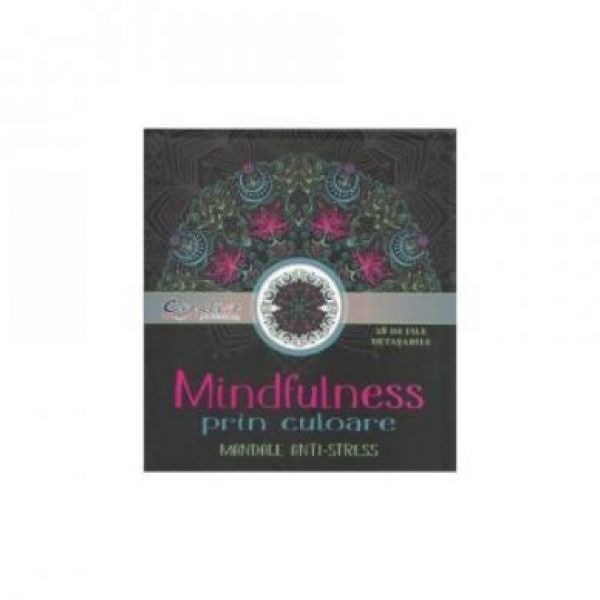  MINDFULNESS PRIN CULOARE